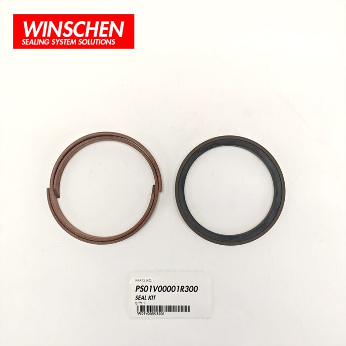 PS01V00001R300 CYLINDER SEAL KIT